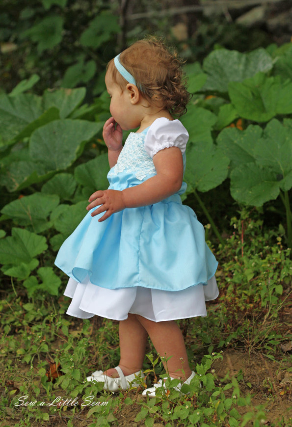 Cinderella Dress