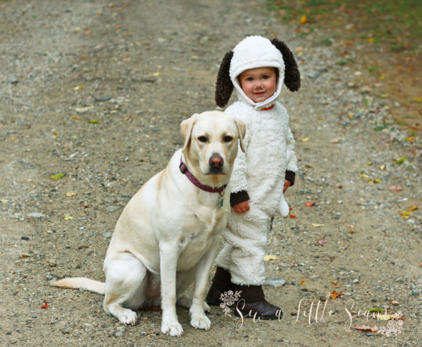 Free Puppy Costume Sewing Pattern
