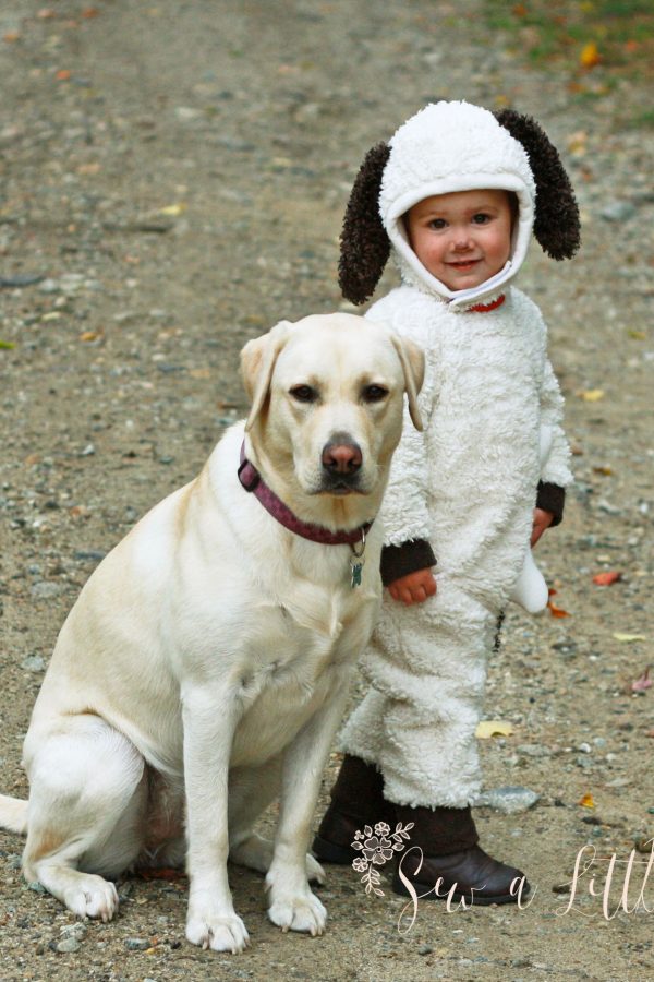 Free Puppy Costume Sewing Pattern