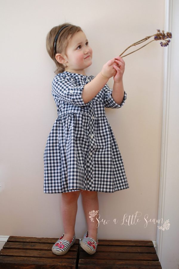 IMG_7704 IMG_7704