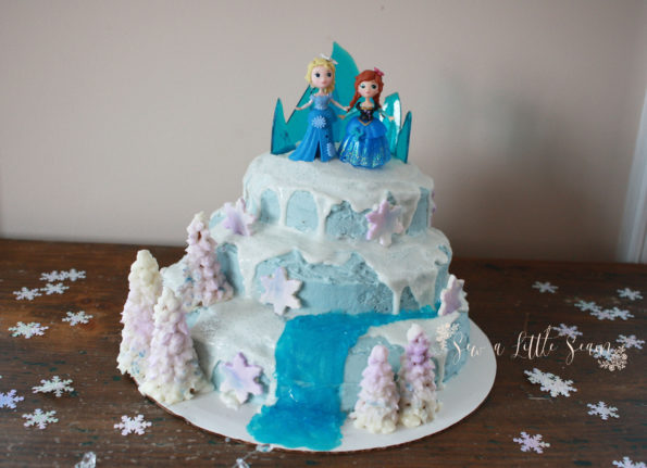 Frozen Cake