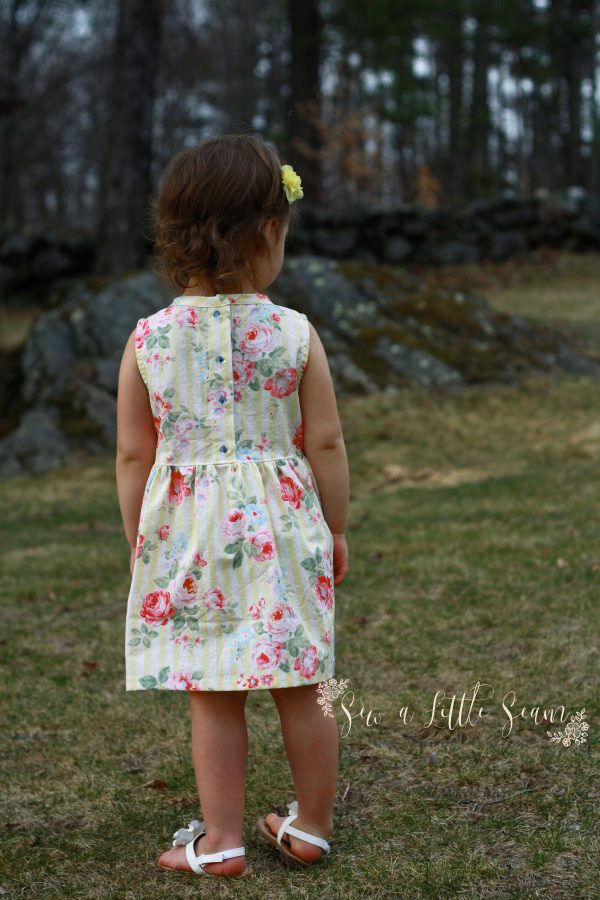 IMG_7980 IMG_7980