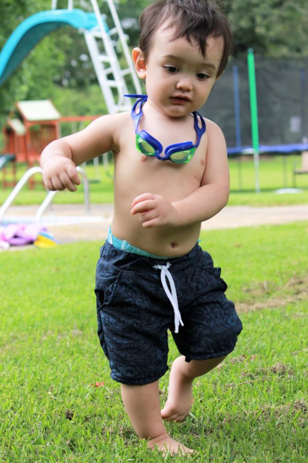 Linden Board Shorts6 Linden Board Shorts6