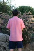 AR Size 14 Collarless
