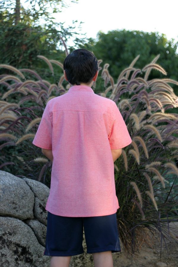 AR Size 14 Collarless AR Size 14 Collarless