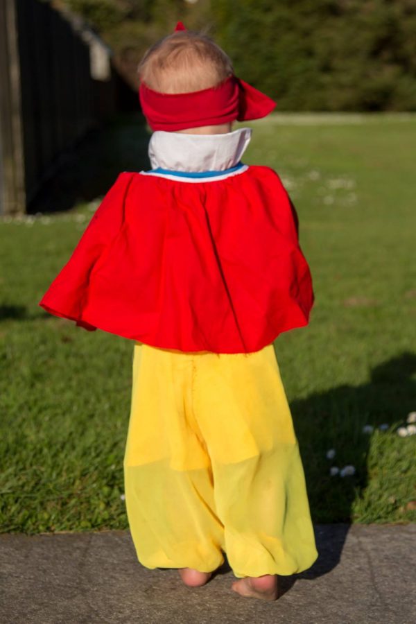 AM capelet AM capelet