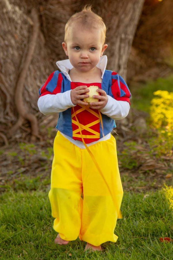 AM medici collar AM medici collar