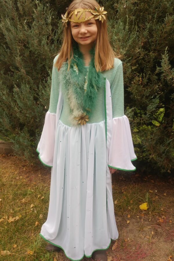 SL full length dress attached cape SL full length dress attached cape