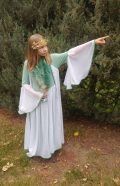 SL full length dress bell sleeves