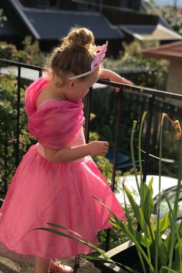 SM bertha collar SM bertha collar