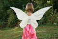 WJ fairy wings