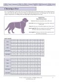 Pet Movie Night Measurement Chart