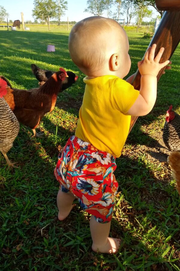 56509953_2701272446554872_7175367957508259840_o 56509953_2701272446554872_7175367957508259840_o