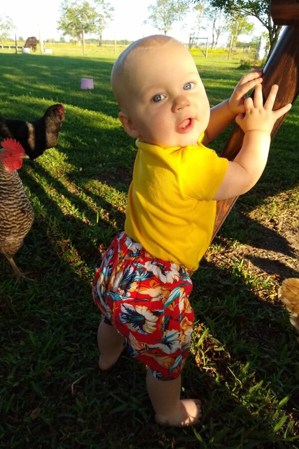 56944955_2701288876553229_3860010537685352448_o 56944955_2701288876553229_3860010537685352448_o