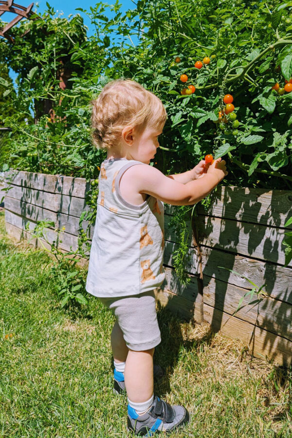 inbound7649821945449205374 Jonee Walker (FB) inbound7649821945449205374 Jonee Walker (FB)